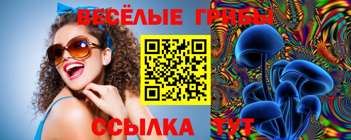 Алатырь  Псилоцибиновые грибы мухоморы  Вход с VPN 